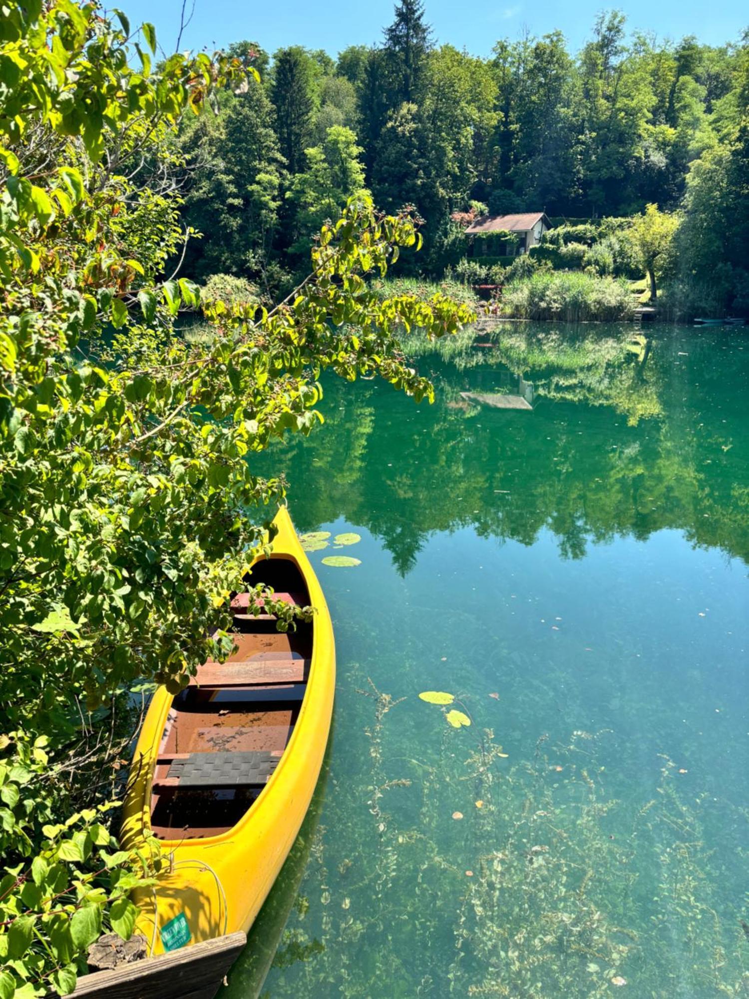 Green River - Robinzonski Kamp Hotel Duga Resa Bagian luar foto