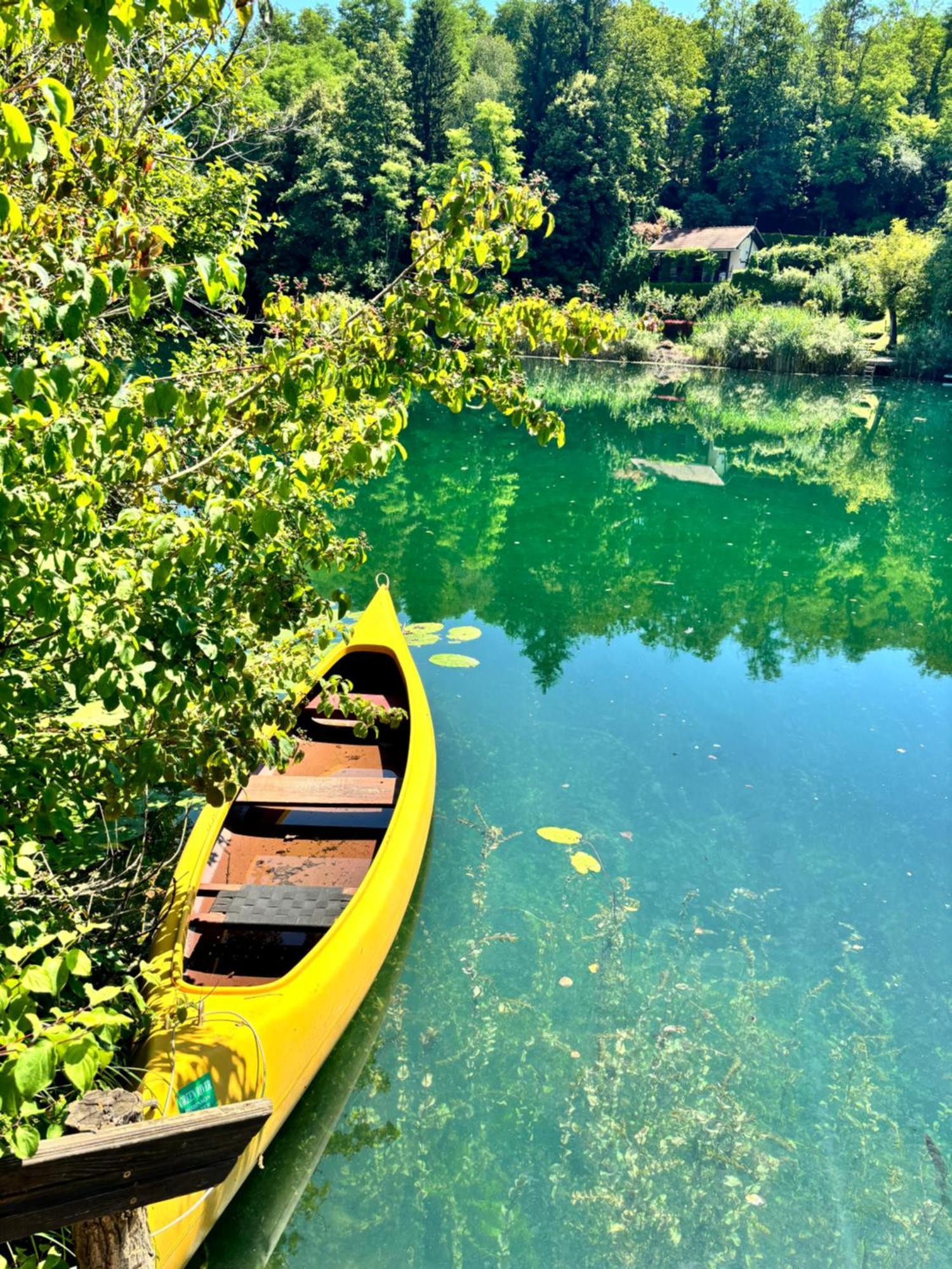 Green River - Robinzonski Kamp Hotel Duga Resa Bagian luar foto